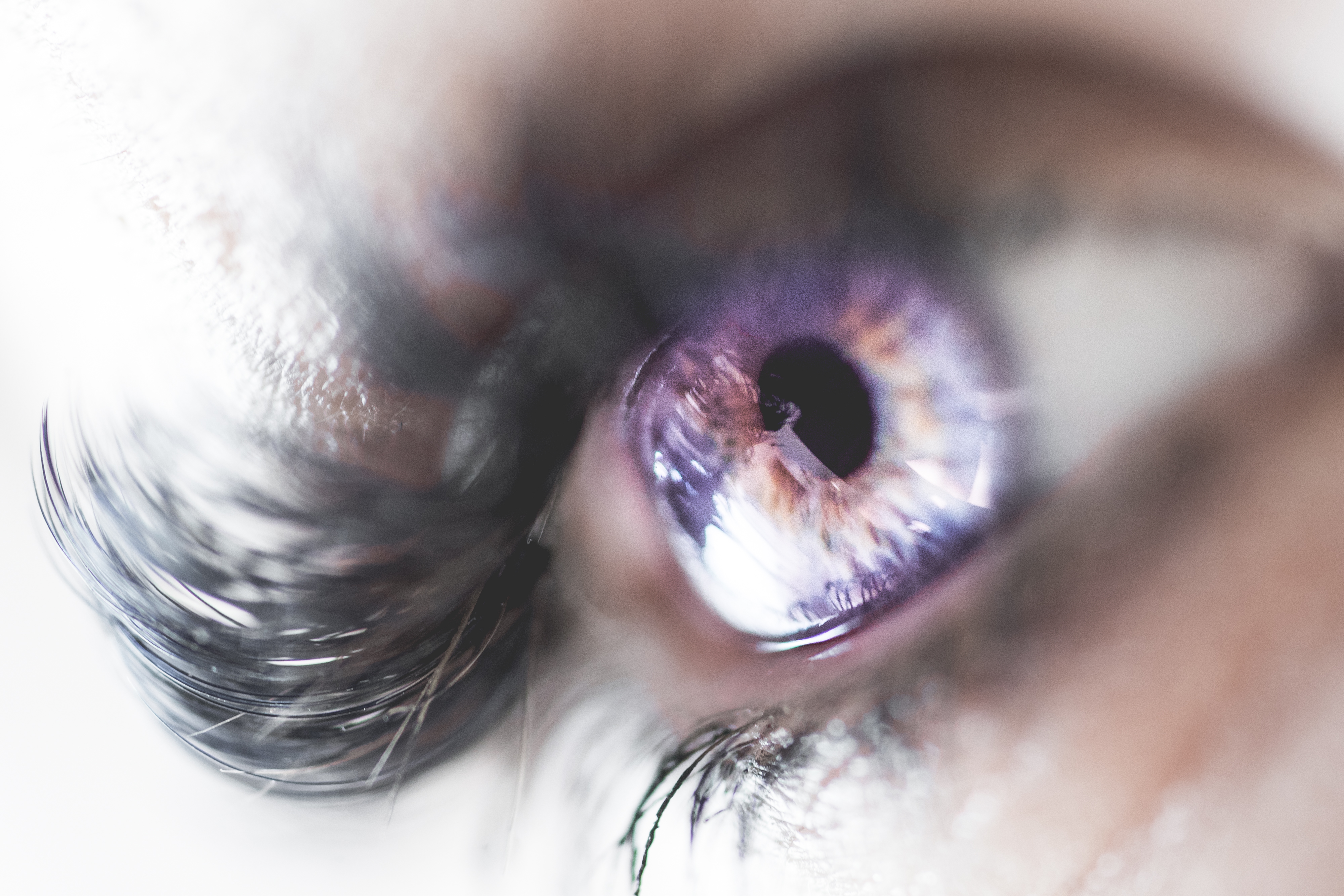 colorful-macro-image-of-human-eye-picjumbo-com